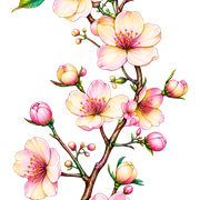 1d5890abfefd5f24889e5265d5e2e256