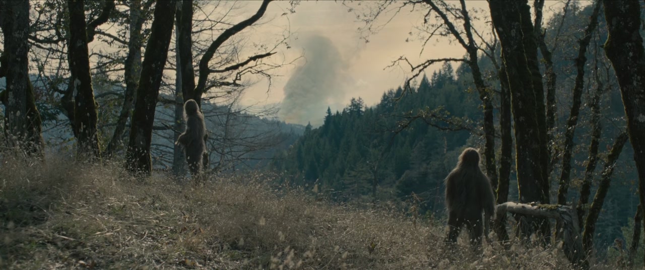Sasquatch Sunset Screenshot