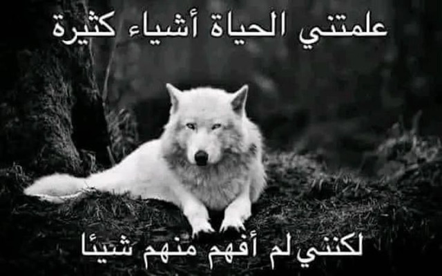 c174a288218774d2c214bd054bbb7ef0