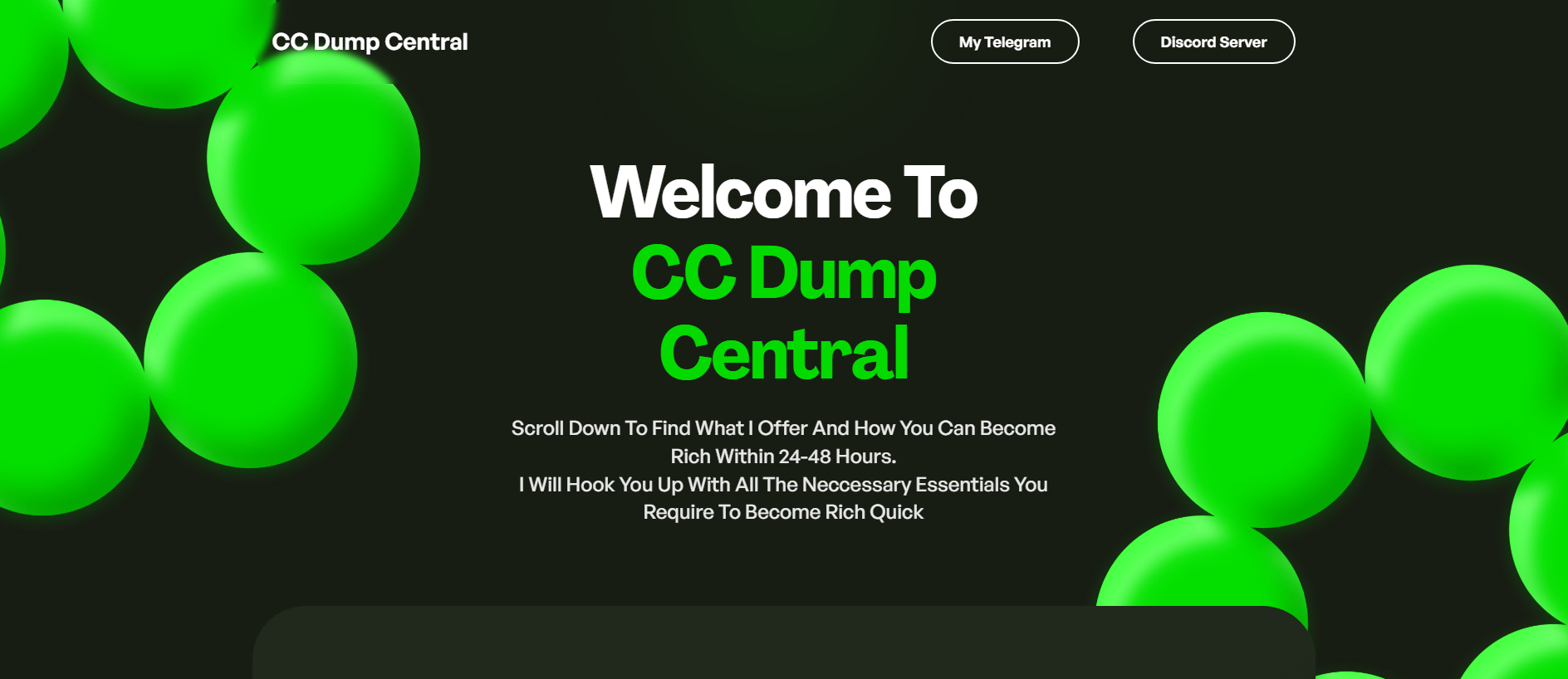 Forensic screenshot of [REDACTED] showing the phishing page layout