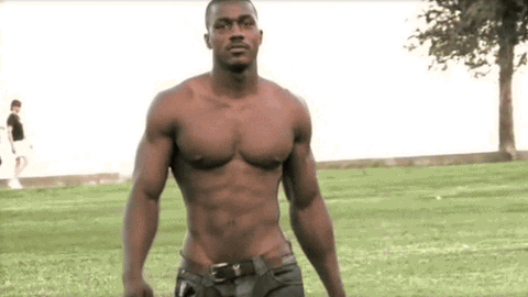 [Image: hunk15-large.gif]