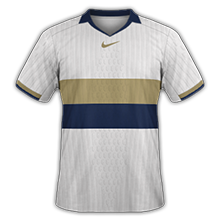 https://i.ibb.co/gMDTYn1q/Nike-1321-remade.png