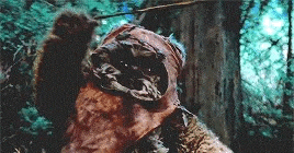 ewok-GIF.gif