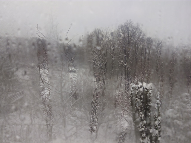 IMG-20160105-110129