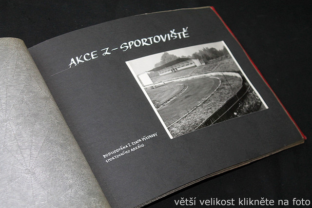IMG-7585.jpg