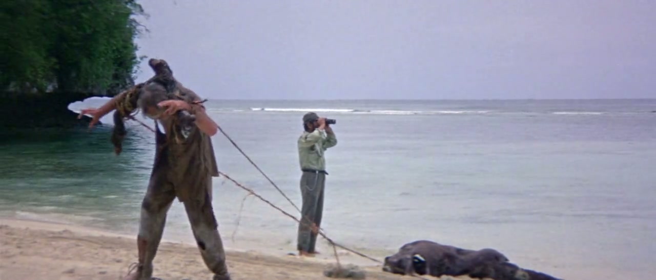 Hell in the Pacific Screenshot