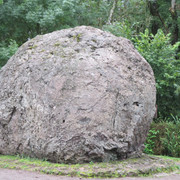 IMG-3589