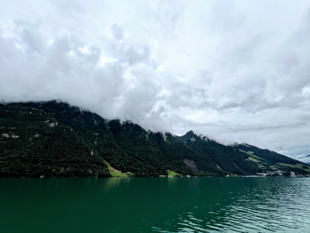 IMG-5299