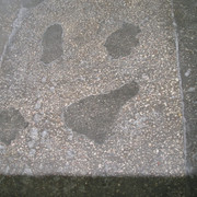 P1010005