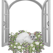 cluster-frame-59