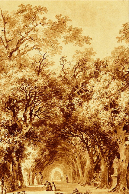 The Shady Walk.jpg