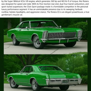 Green-65-GS
