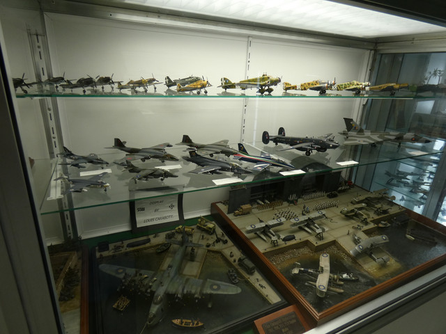 P1060586-Copy.jpg