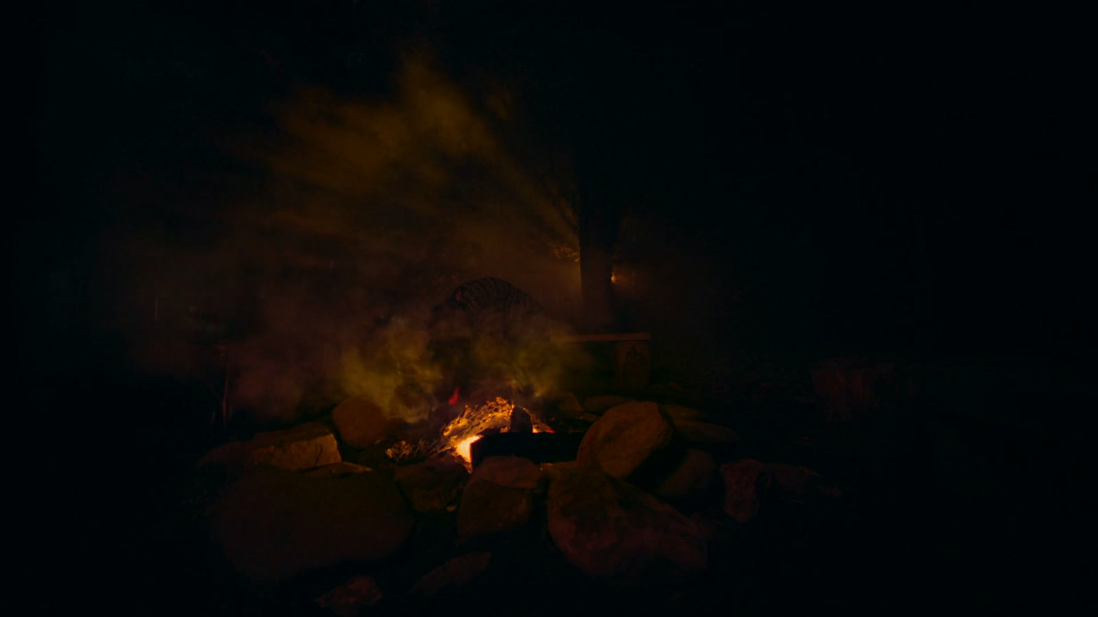CAMP Screenshot