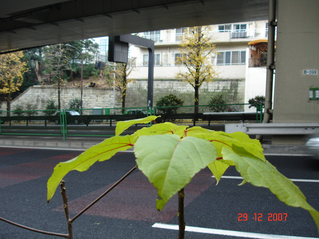 2007-12-29-35.jpg