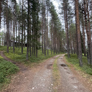 IMG 5705