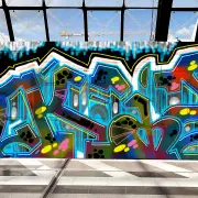 Graffiti artwork by Tkiz