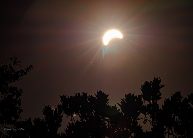DSF6752.jpg