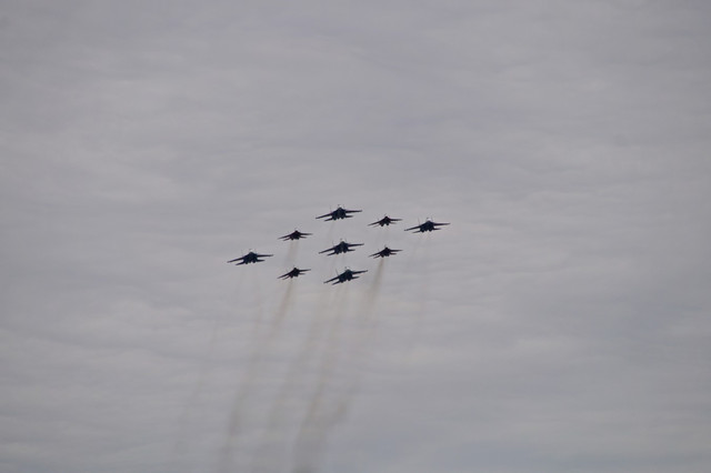 DSC00916.jpg