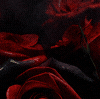 Smitten Kitten Forum Sig.gif