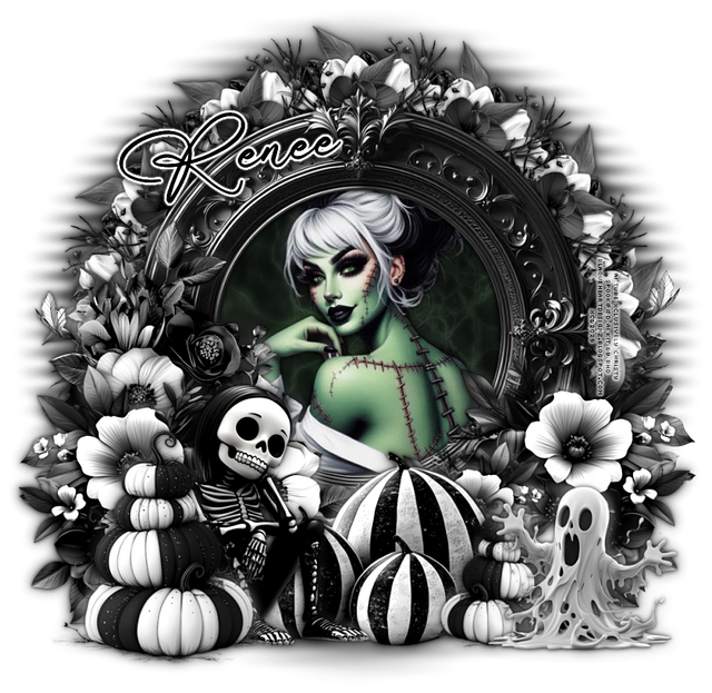 xcd-hb-xcd2-Renee-christy.png