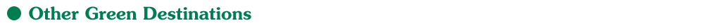 [Image: other-green.png]
