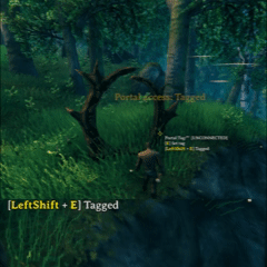 Changing a portal access mode