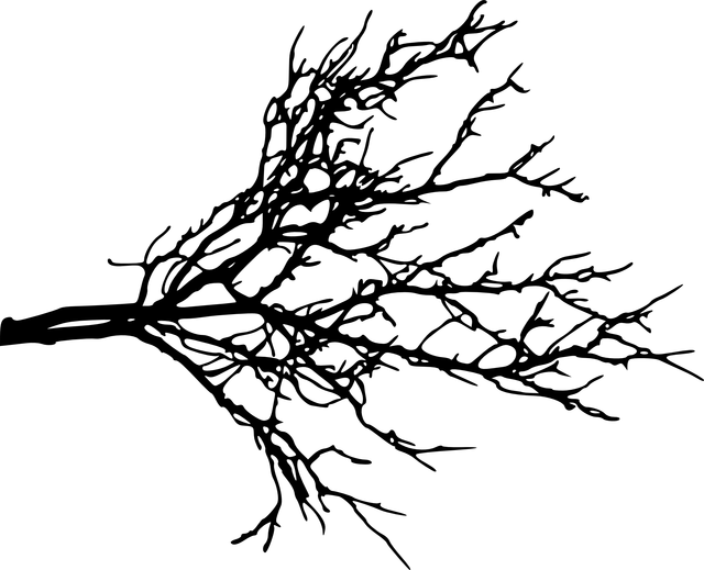 tree branch 1.png