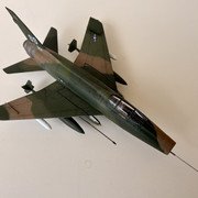 IMG-6399
