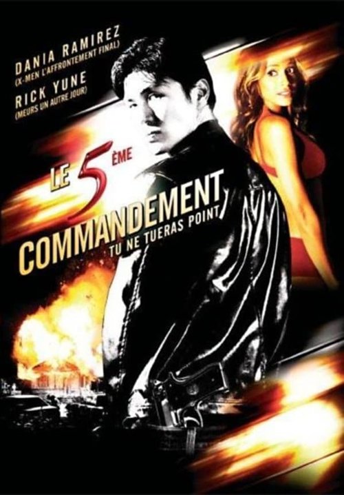 Piąte Nie Zabijaj / The Fifth Commandment (2008) 1080p.WEB-DL.H264.AC3.2.0.BP007 | Lektor PL