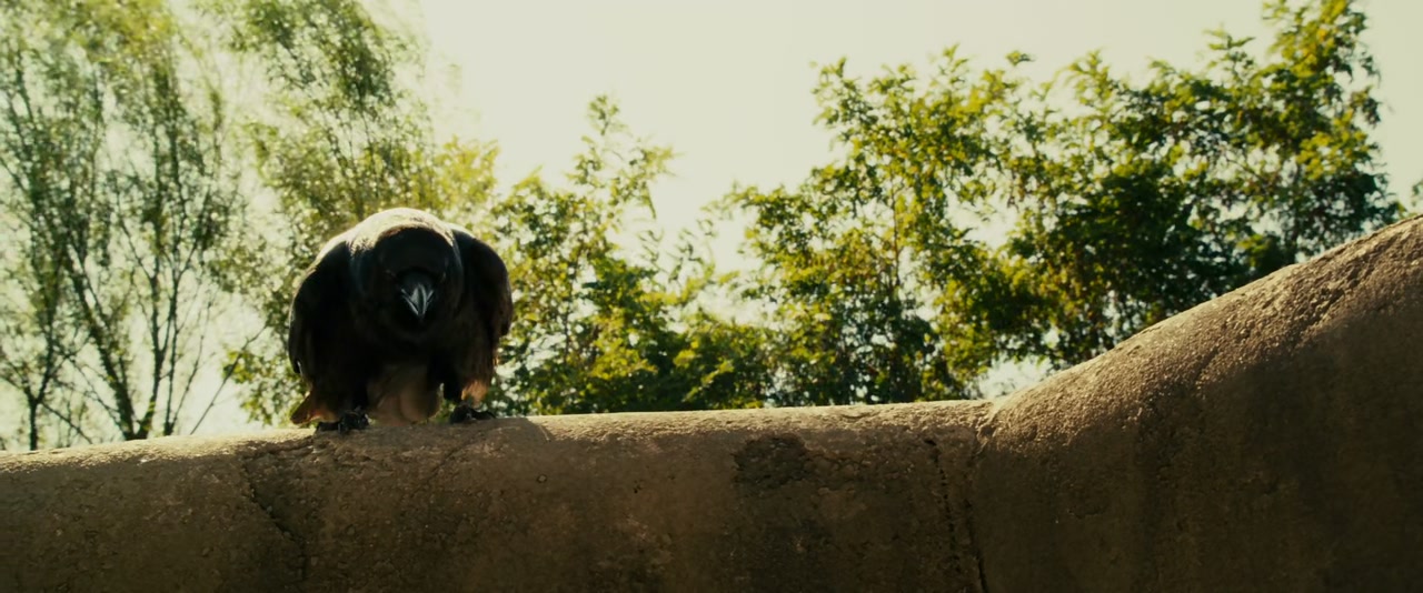 Zookeeper Screenshot