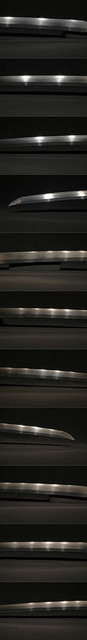 DSC5947.jpg