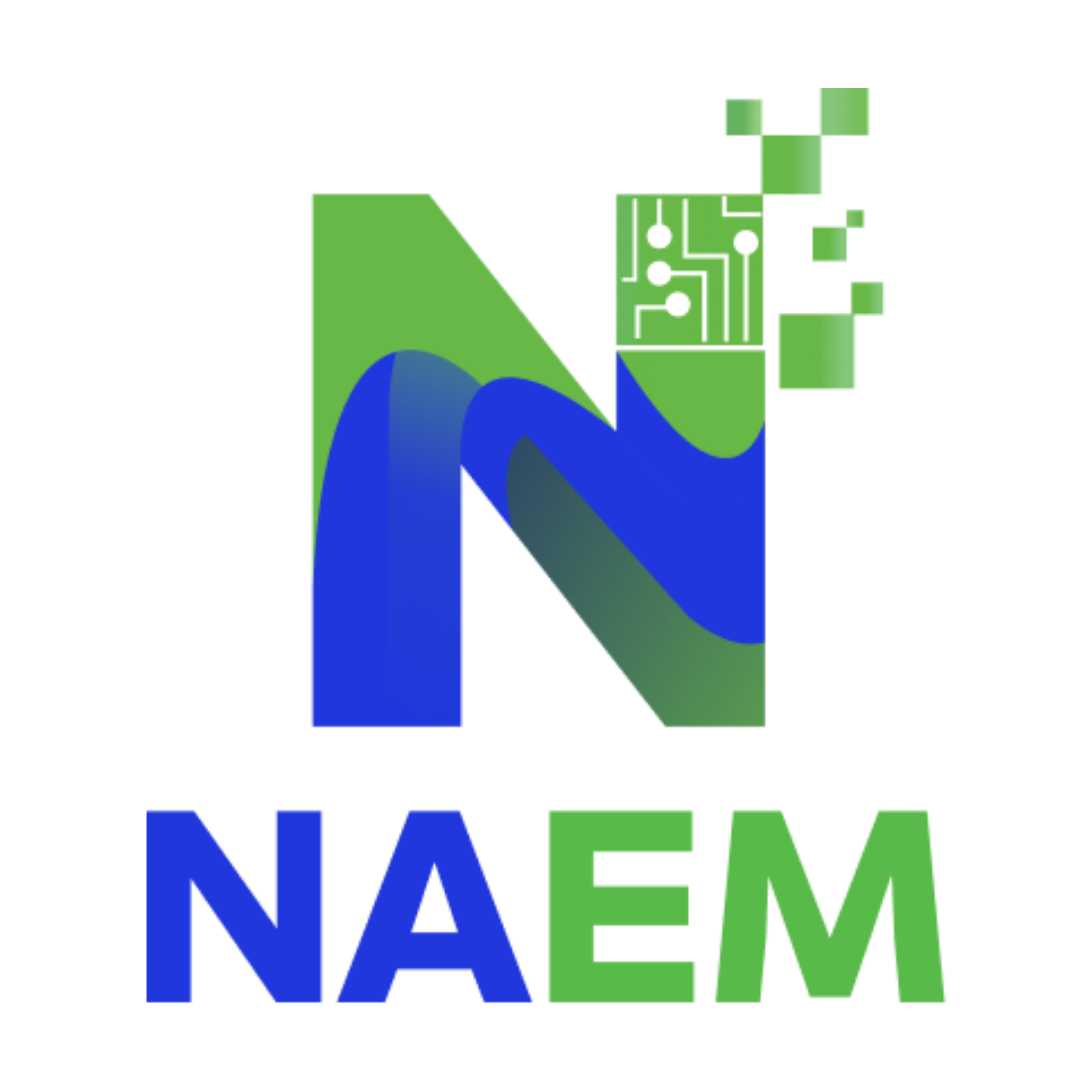 NAEM Ecuador
