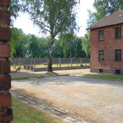 IMG-5830