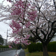 DSC-0005