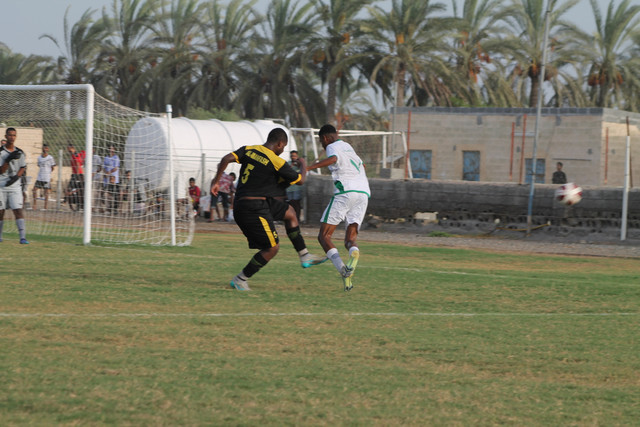 IMG-0801.jpg