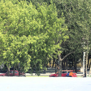 DSC5089
