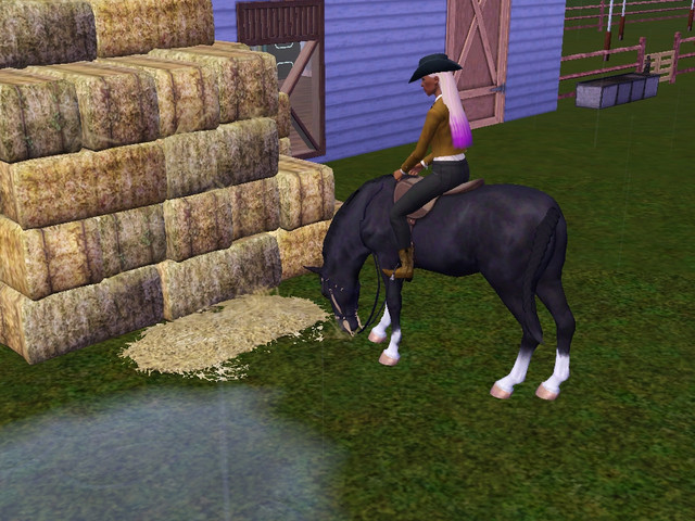 Screenshot-437