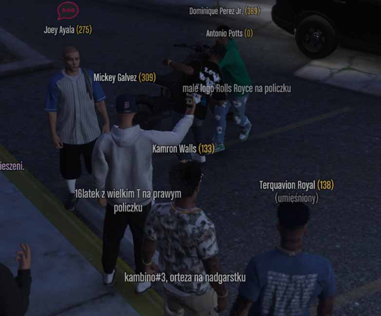 ss4.jpg