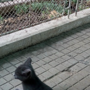 IMG 20180606 172128