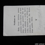 IMG-6977