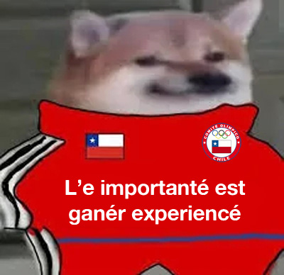 perrocochfranchute.jpg