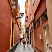 IMG-3811