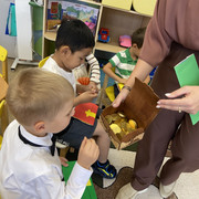 IMG-4600