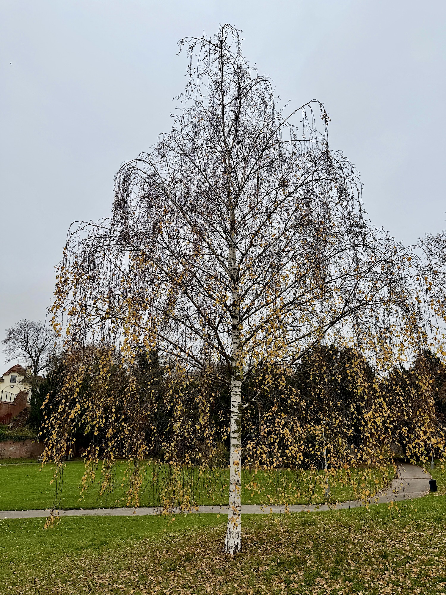 30+ лет в США. Заметки русско-американского пенсионера.