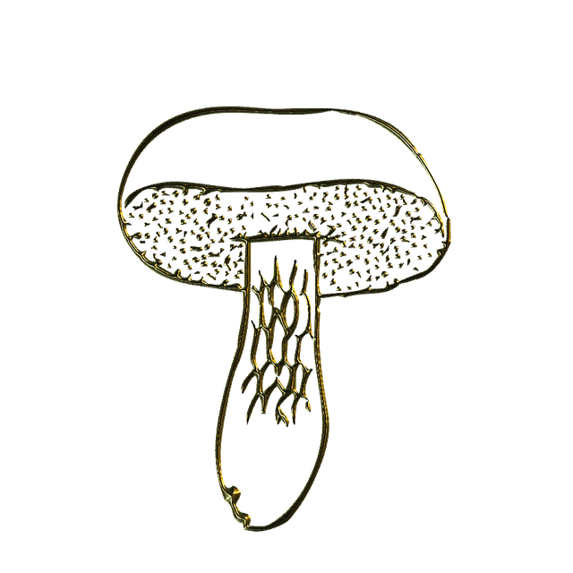 MS-gold-element-8.png