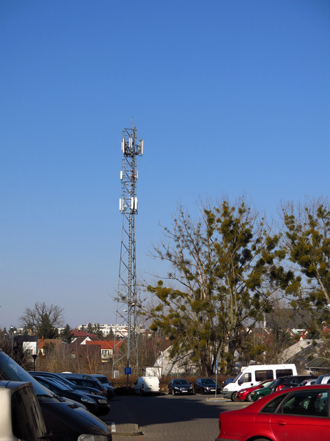 IMG-3549