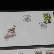 IMG-2663