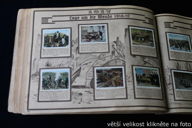 IMG-5732.jpg