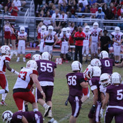 IMG-3040